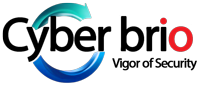 Cyber Brio